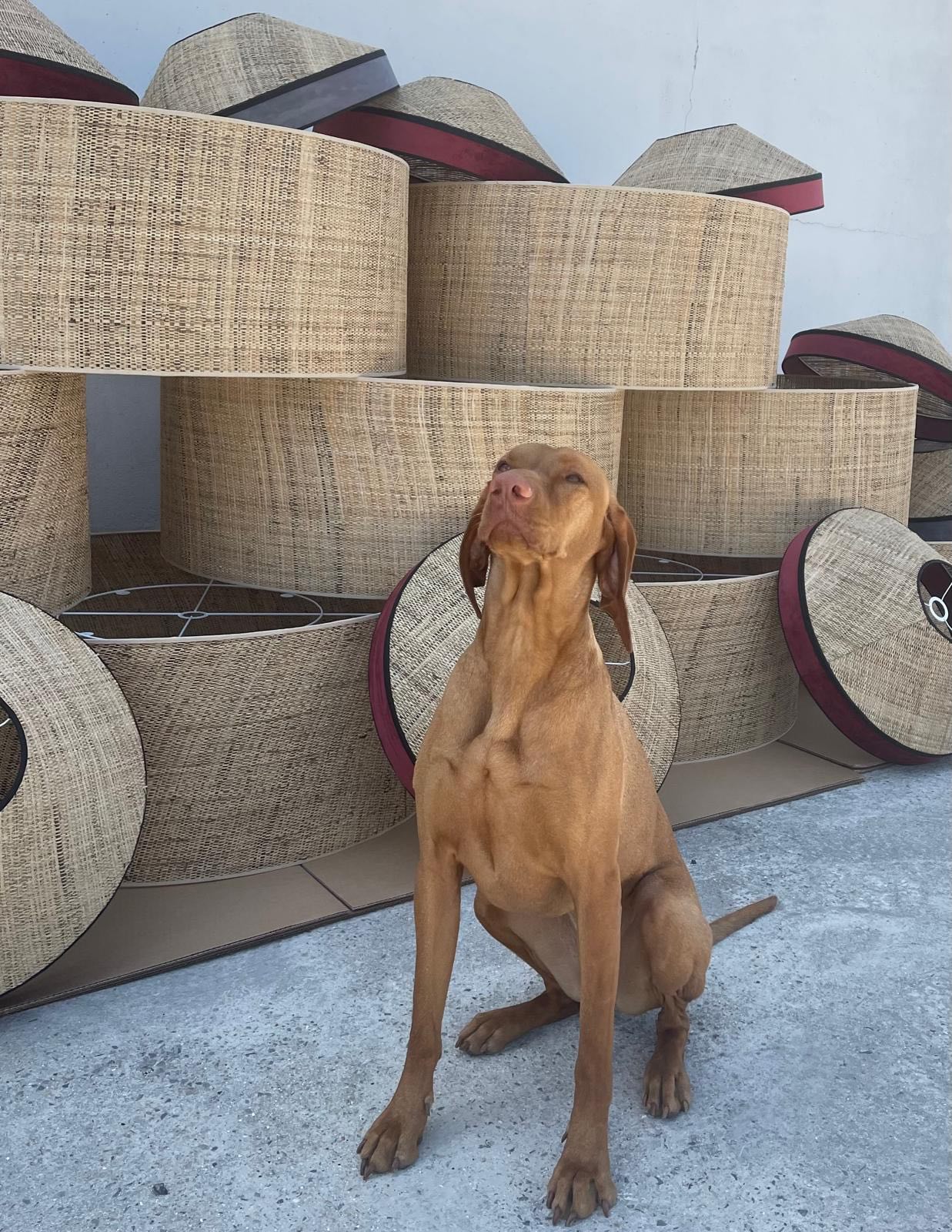 Les avantages d’une boutique