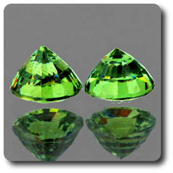 0.48CT. 2 pcs DEMANTOID GARNET. IF
