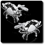 Cufflinks