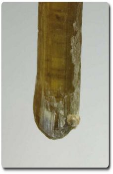 7.82 cts ORANGE CLINOZOISITE