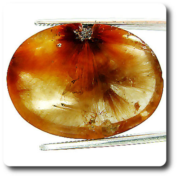 24.45 cts QUARTZ RUTILE. VVS