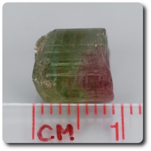6.01 cts TOURMALINE CRYSTAL