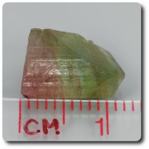 6.02 cts TOURMALINE CRYSTAL
