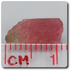 2.43 cts WATERMELON TOURMALINE CRYSTAL