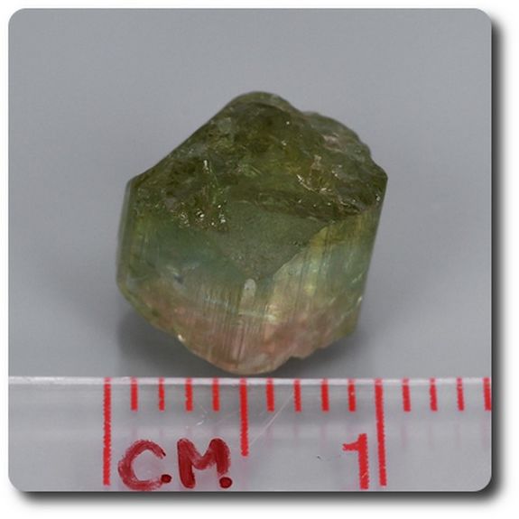 5.31 cts WATERMELON TOURMALINE CRYSTAL