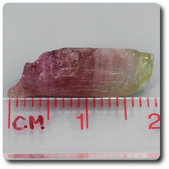 6.0 carats CRISTAL DE TOURMALINE