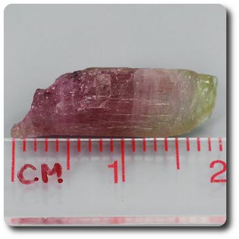 6.0 carats CRISTAL DE TOURMALINE