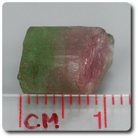 6.12 cts WATERMELON TOURMALINE CRYSTAL