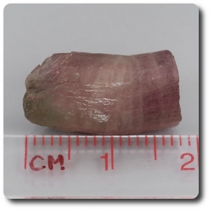 14.1 carats CRISTAL DE TOURMALINE