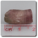 14.1 carats CRISTAL DE TOURMALINE