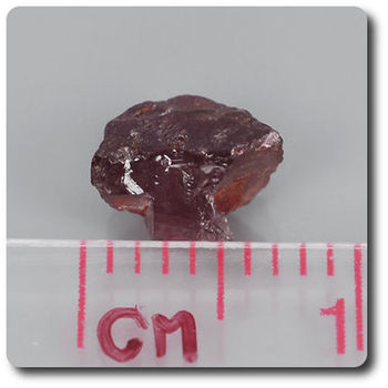 1.31 carats CRISTAL DE GRENAT