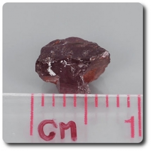 1.31 carats CRISTAL DE GRENAT