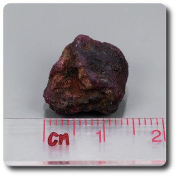 13.08 carats CRISTAL DE RUBIS