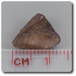 5.76 cts SAPPHIRE CRYSTAL