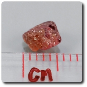 0.95 cts SAPPHIRE CRYSTAL