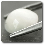 2.09 CT. NATURAL CLAM SHELL