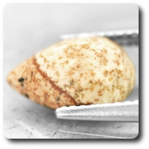 2.48 CT. NATURAL MULTICOLOR JASPER