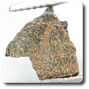 1.13 cts AMMOLITE CRYSTAL