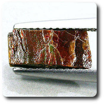 2.30 cts AMMOLITE CRYSTAL