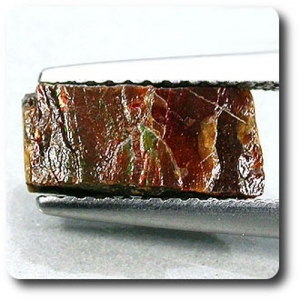 2.30 cts AMMOLITE CRYSTAL