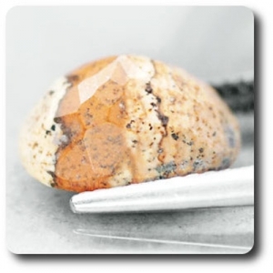 4.06 cts JASPE MULTICOLORE