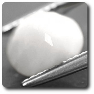 2.60 CT. NATURAL CLAM SHELL
