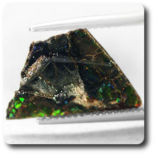 1.81 carats CRISTAL D' AMMOLITE