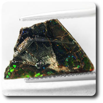 1.81 carats CRISTAL D' AMMOLITE