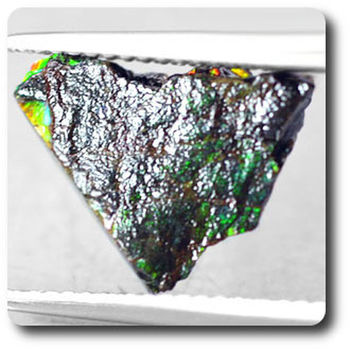 3.26 carats AMMOLITE