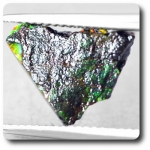 3.26 carats AMMOLITE