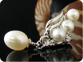 8~5mmx8 White Fresh Water Pearl Earrings