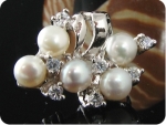 10x4mm White Fresh Water Pearl Round Cut Earrings