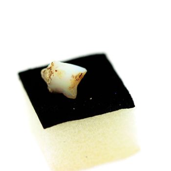 2.85ct NATURAL ROUGH OPAL