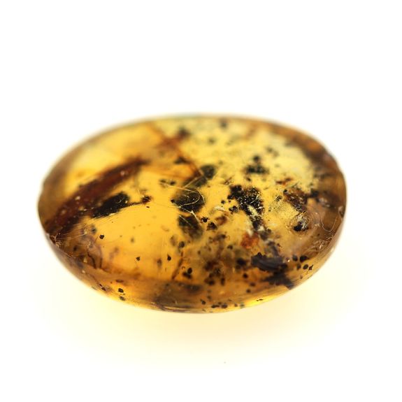 9.73 cts COPAL AVEC INSECTE