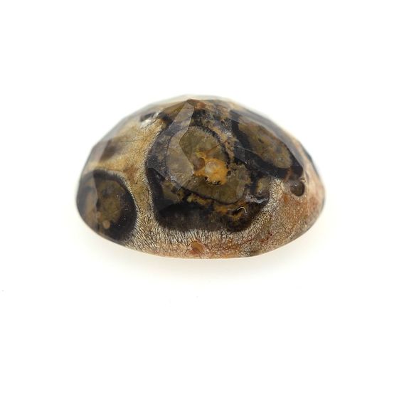 3.06 cts JASPE MULTICOLORE