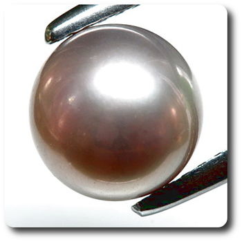 3.69CT. NATURAL PINK PEARL