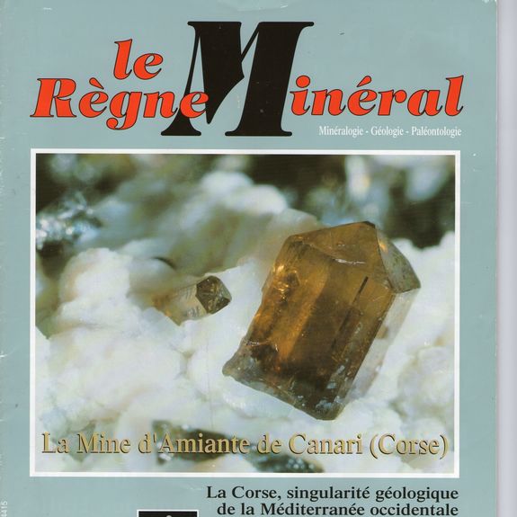 Diopside et Grenat grossulaire. 218.1 cts.