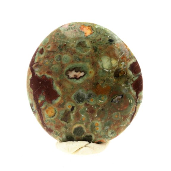 Rhyolite - Jaspe "Forêt tropicale". 236.9 ct.