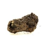 Fulgurite.