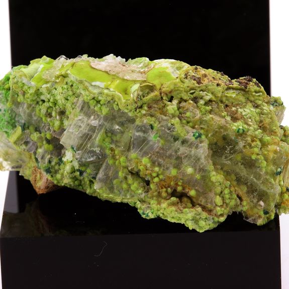 Gillardite + Gaspéite + Gypsum.