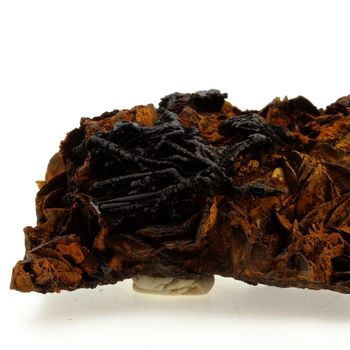 Pyrolusite and Goethite on Siderite.