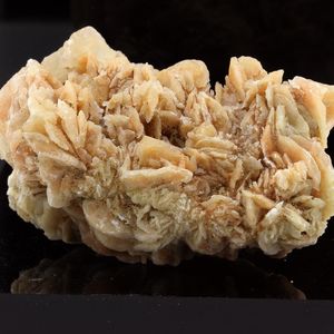 Gypse (Rose des Sables). 505.3 ct.