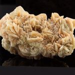 Gypse (Rose des Sables). 505.3 ct.