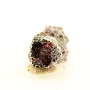 Tourmaline Elbaite. 47.01 ct.