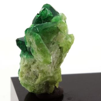 Chrome-Vesuvianite. 48.81 ct.