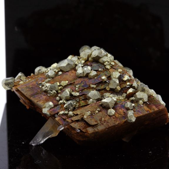 Siderite, Pyrite, Quartz.