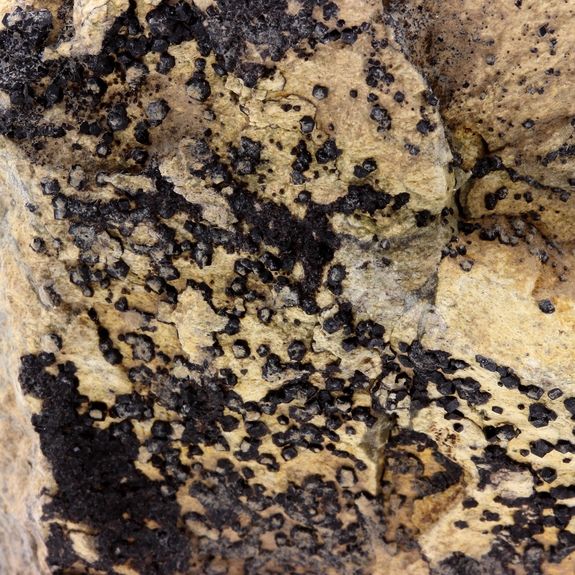 Grenat Melanite. 803.6 ct.