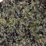 Peridotite.