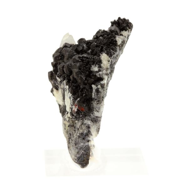 Acanthite + Argentite.