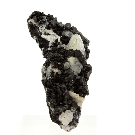 Acanthite + Argentite.